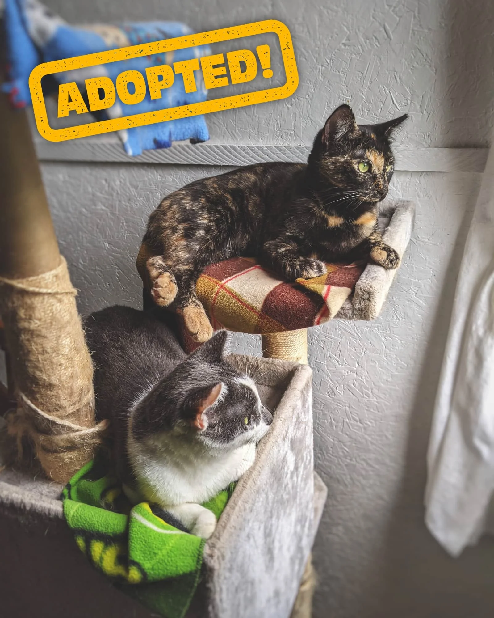 Butch and Sundance1.jpg