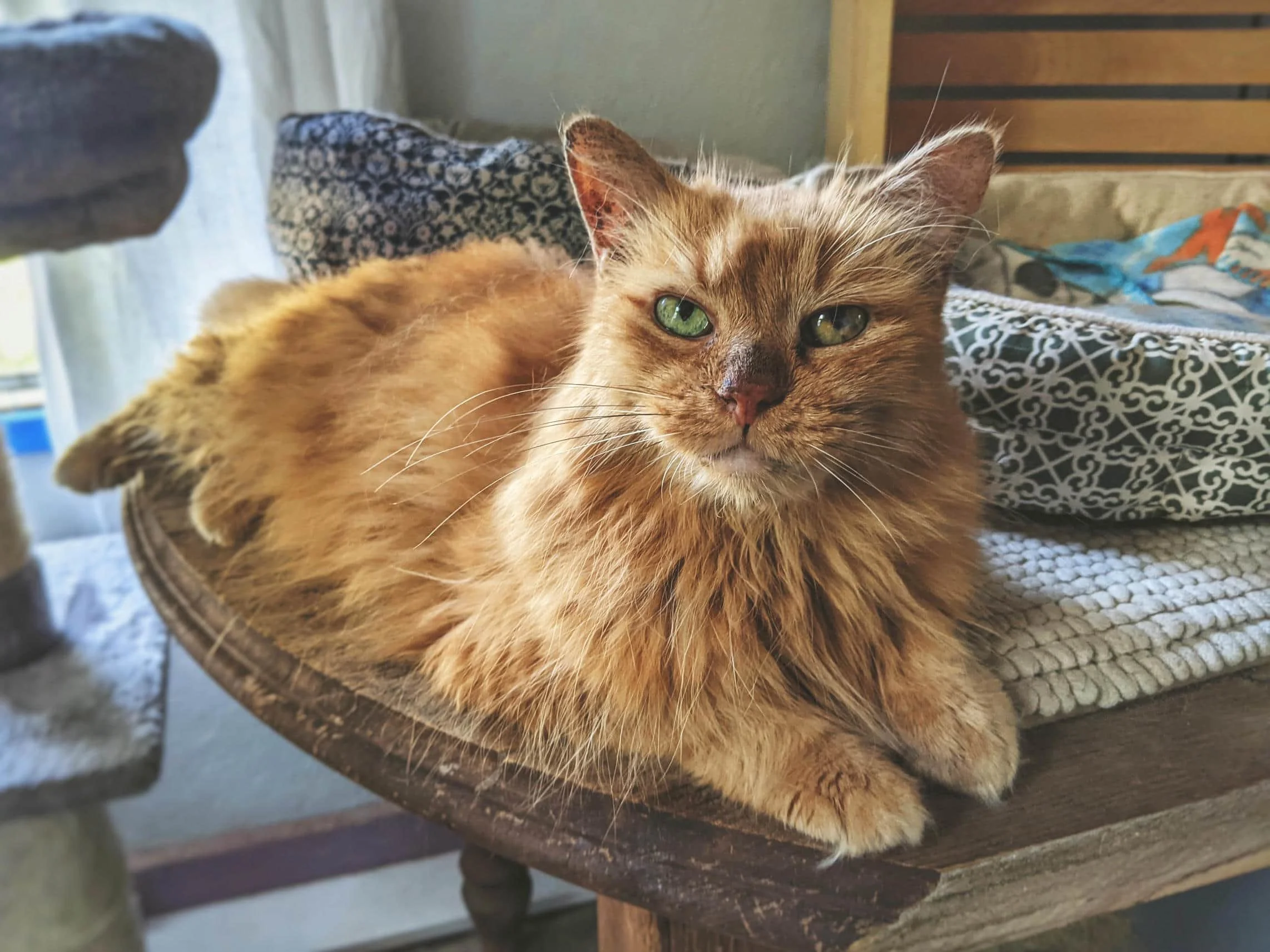 PXL_20230904_223152324.MP-01-01 updated.jpg