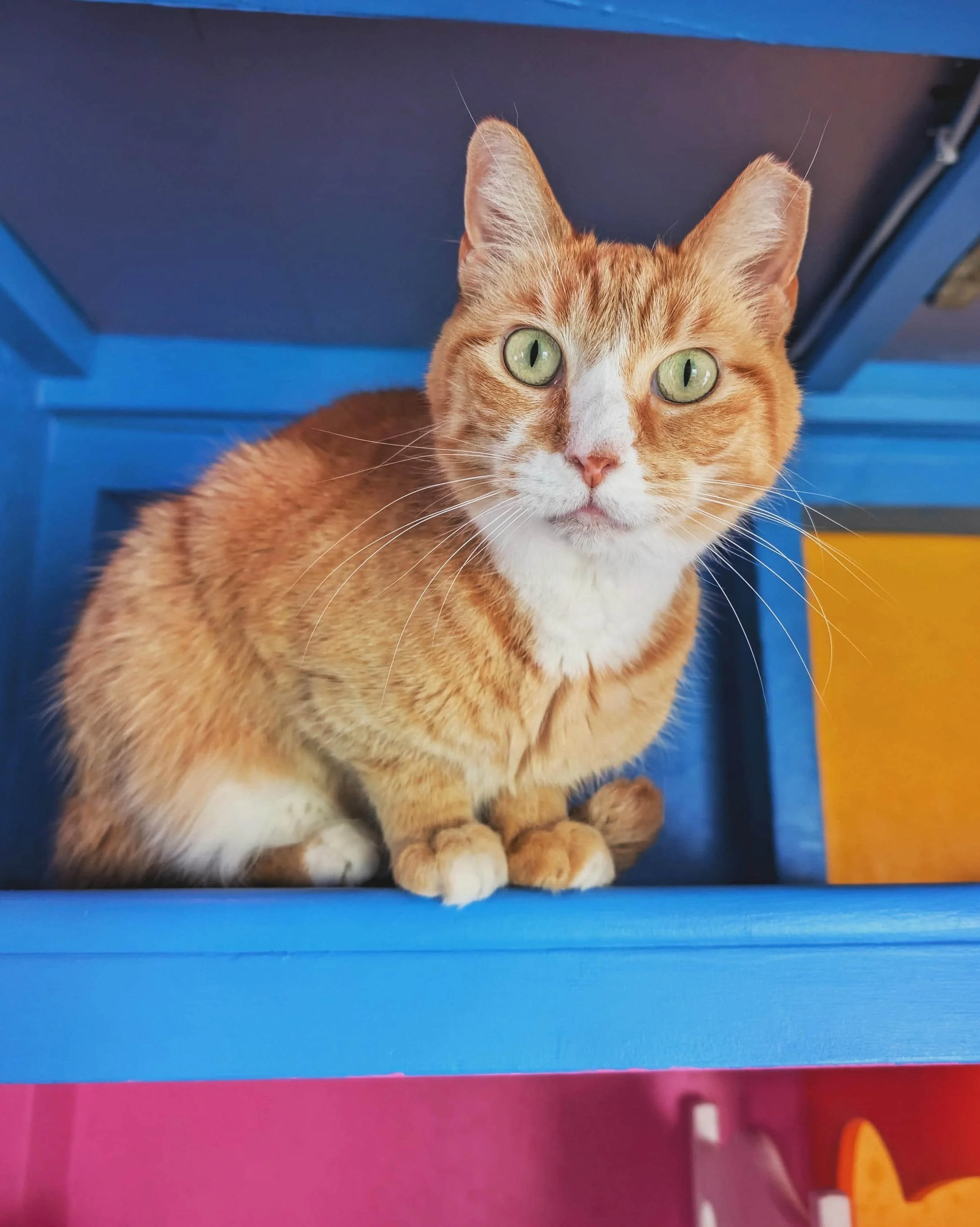 PXL_20250322_191253817 (1).jpg