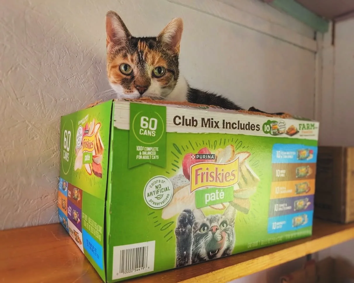 While Ember is loving the &lsquo;new&rsquo; box, she&rsquo;s a bit concerned that it also happens to be devoid of pate goodness. We&rsquo;ve assured her that there&rsquo;s nothing to be concerned about. But if you&rsquo;d like to help alleviate her f