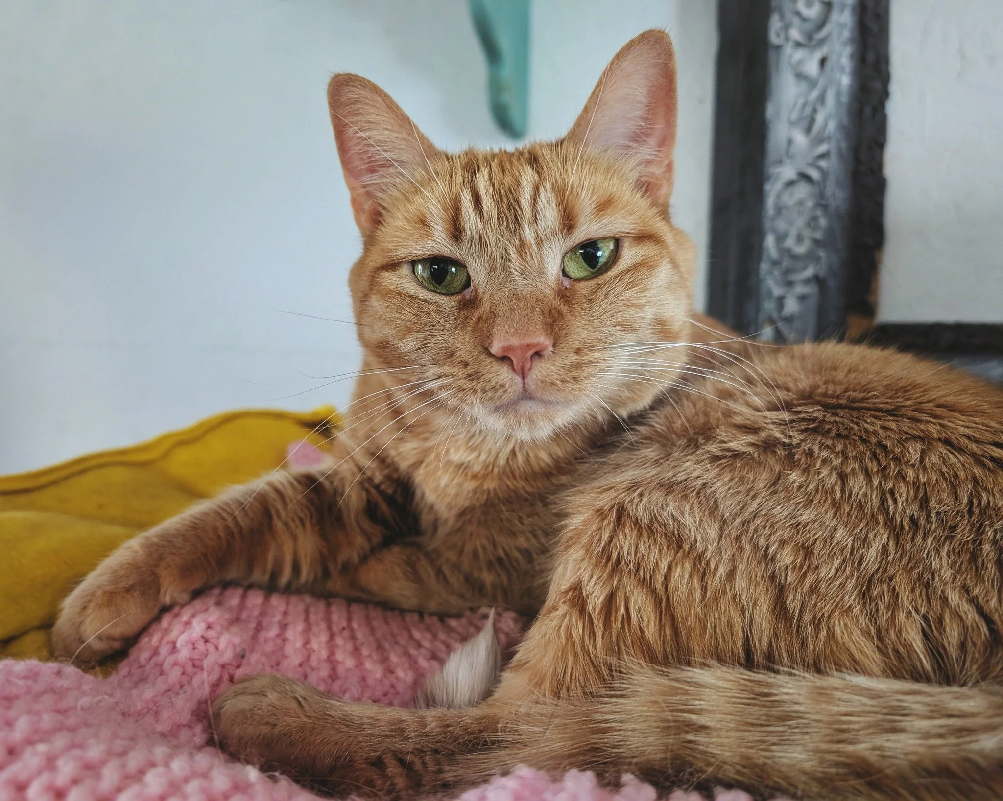 Large amounts of information can be transmitted in a single glance. Mama Kelce is clearly beaming us with a high-bandwidth, multi-phasic data transmission. And while we received a message of love and gratitude, it&rsquo;s likely that we missed some a