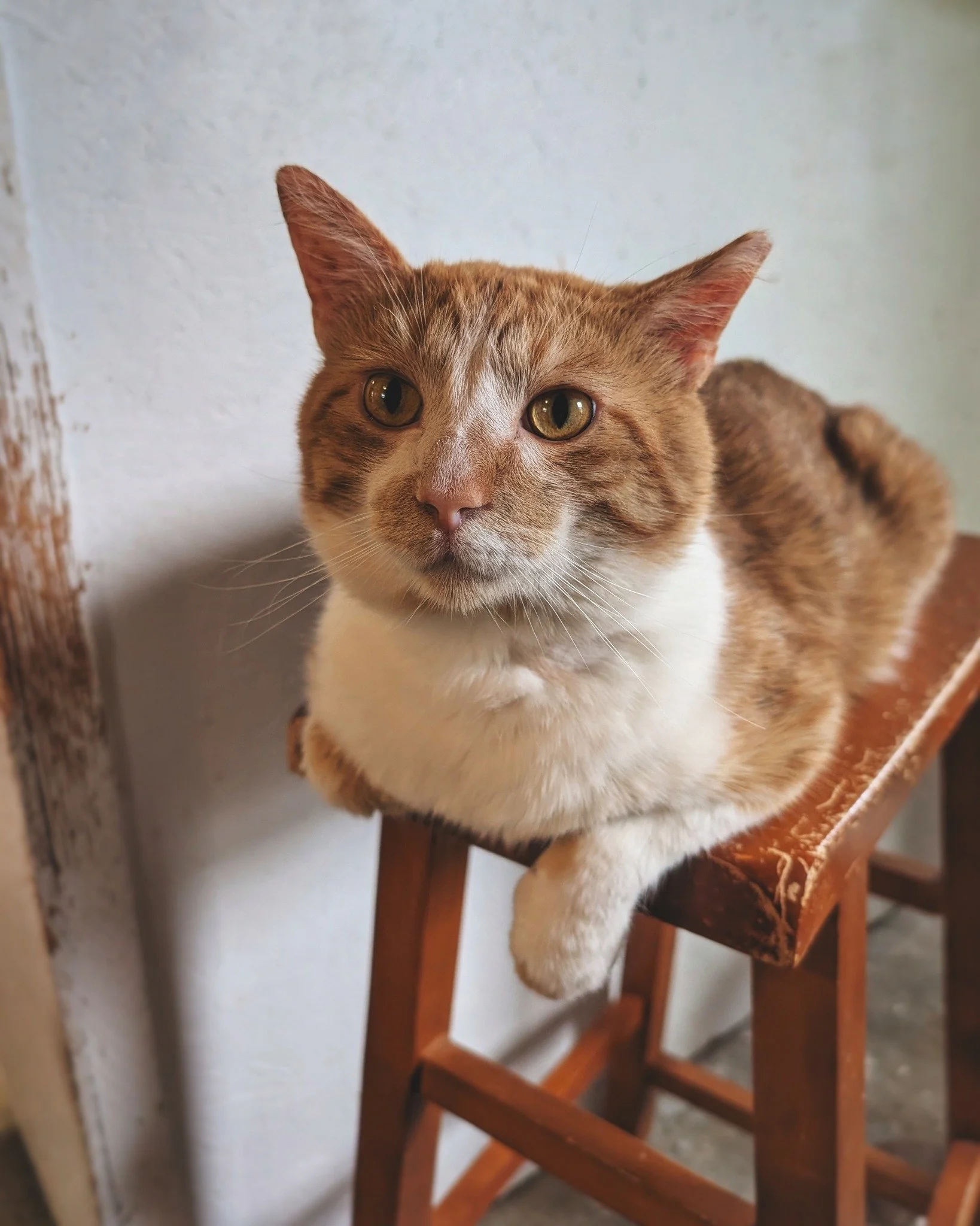 The Hotel Bravo crew has officially embraced Max as one of the gang. His gentle, calm, and confident nature made him a shoo-in for the spot (not to mention, he's ginger-ness earned him points with The Chief). Max&rsquo;s been having a blast exploring