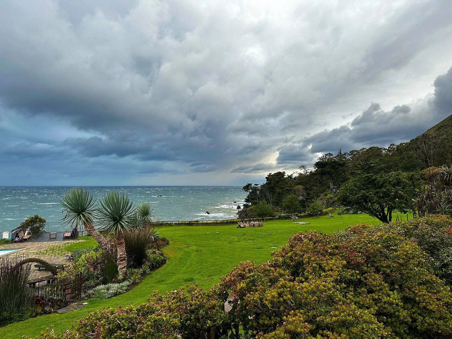 PROPERTY_ Lawn_2.JPG