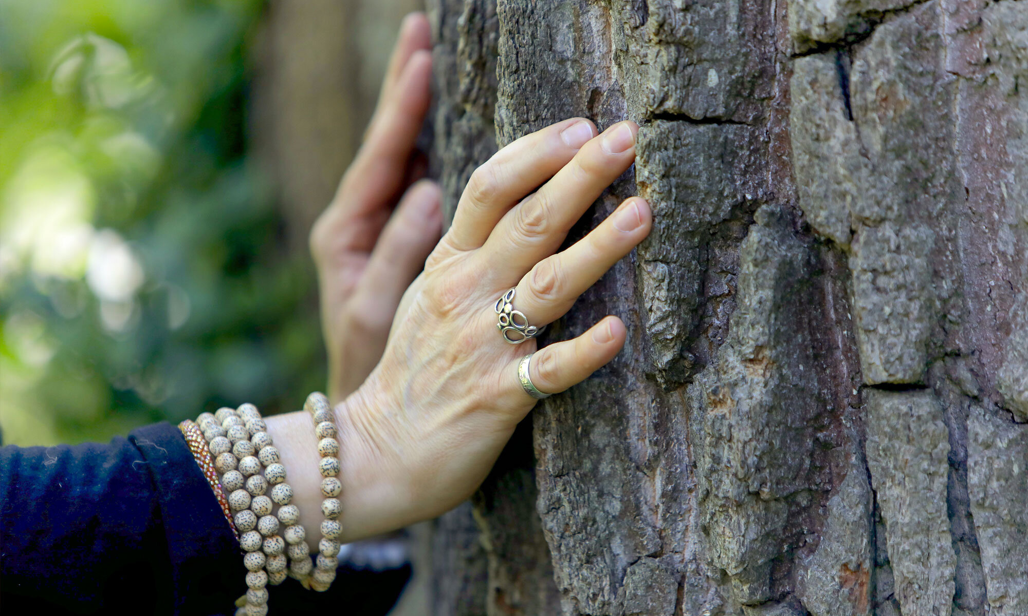 live-love-move-classes-banner-hands-on-tree.jpg