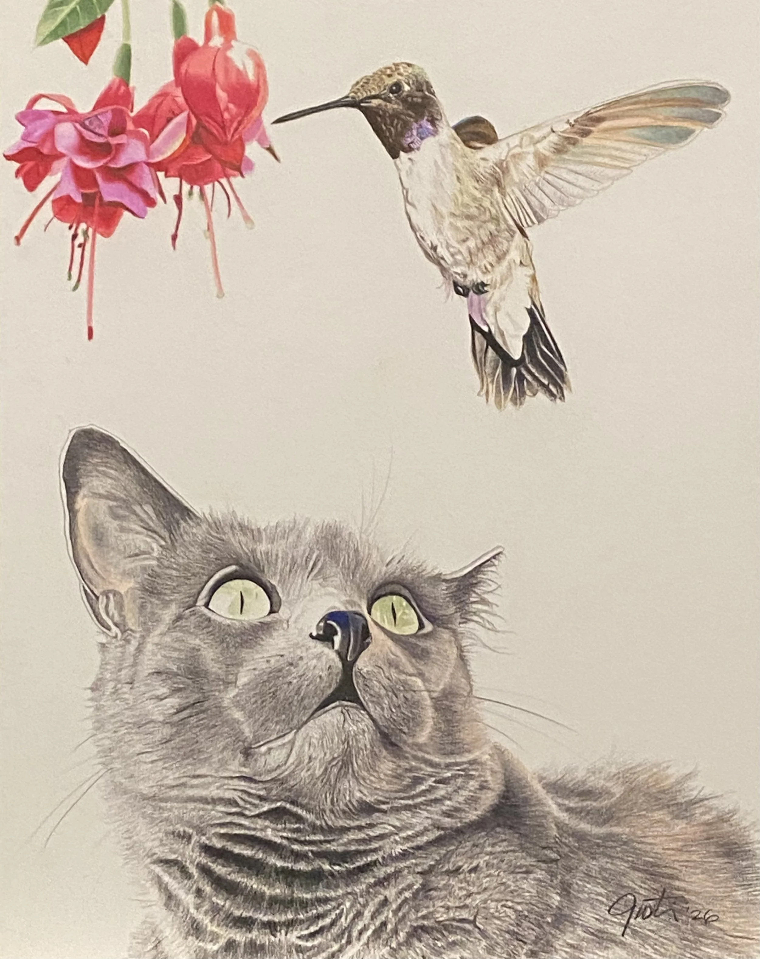 brookes cat bird.jpeg