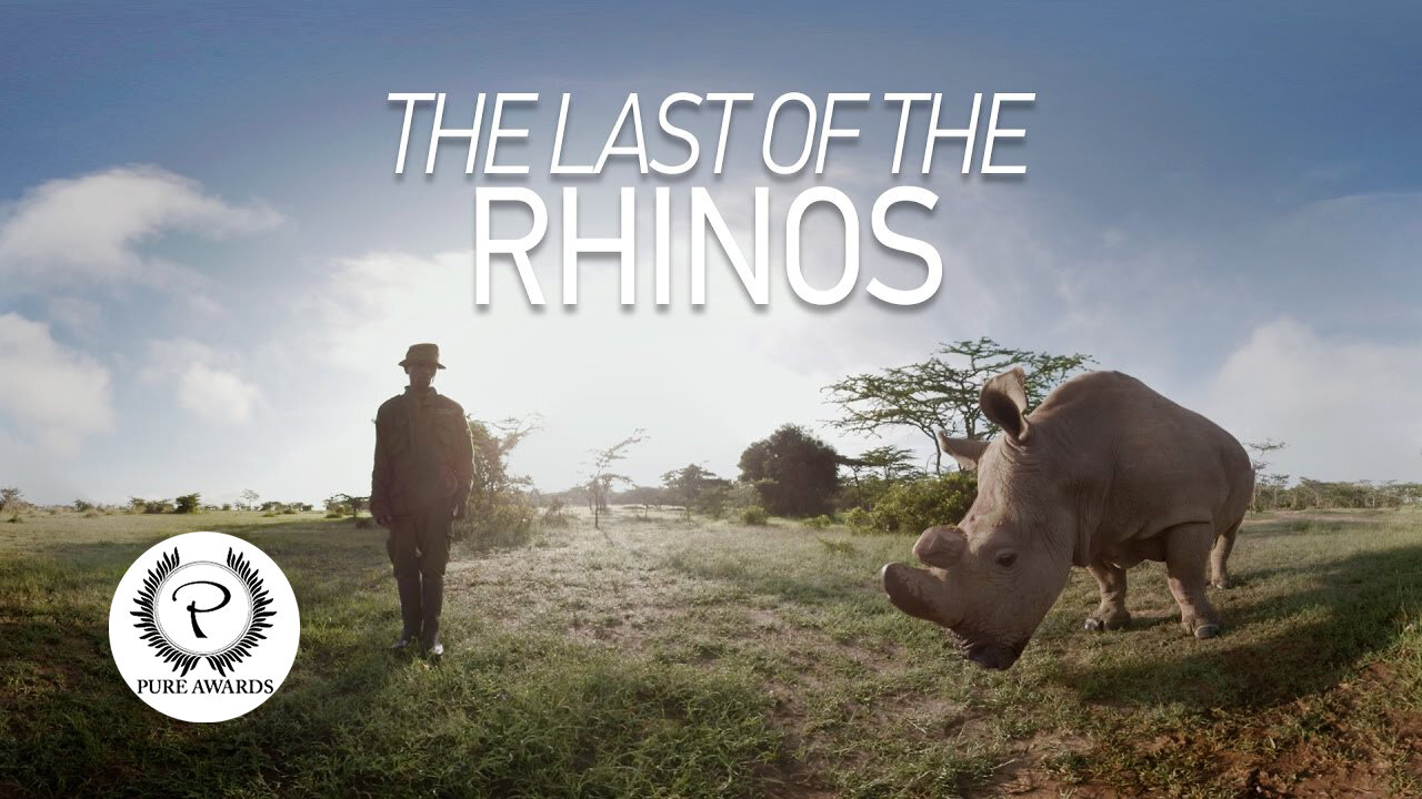 VR: THE LAST OF THE RHINOS