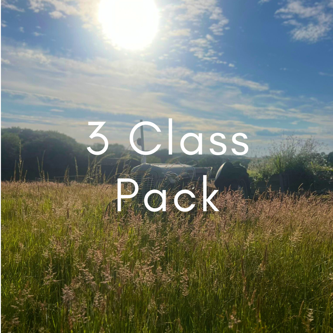 Pricing — Cucumber Fields