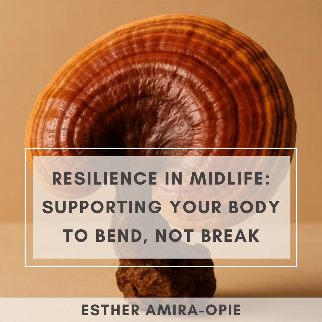 Resilience in Midlife: Supporting Your Body to Bend, Not Break