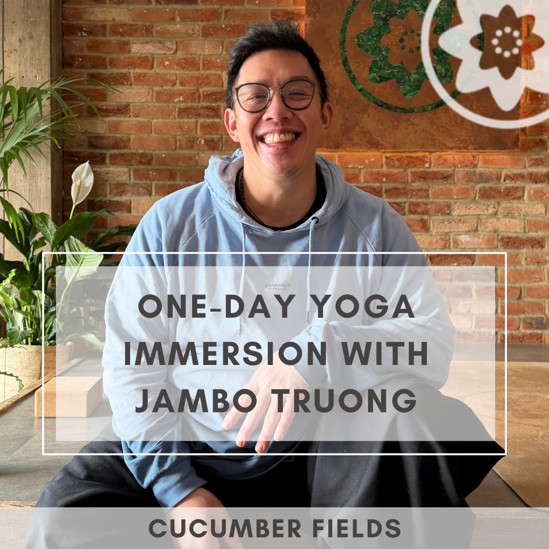 Demystifying Joint Compression -&nbsp;An Alchemy of Movement Workshop