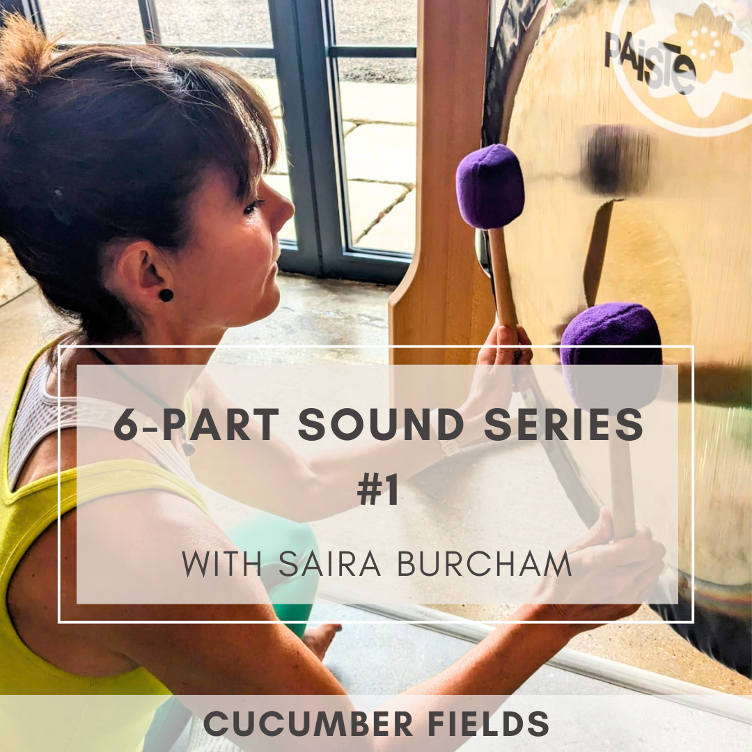 6-Part Sound Series #1 with Saira Burcham