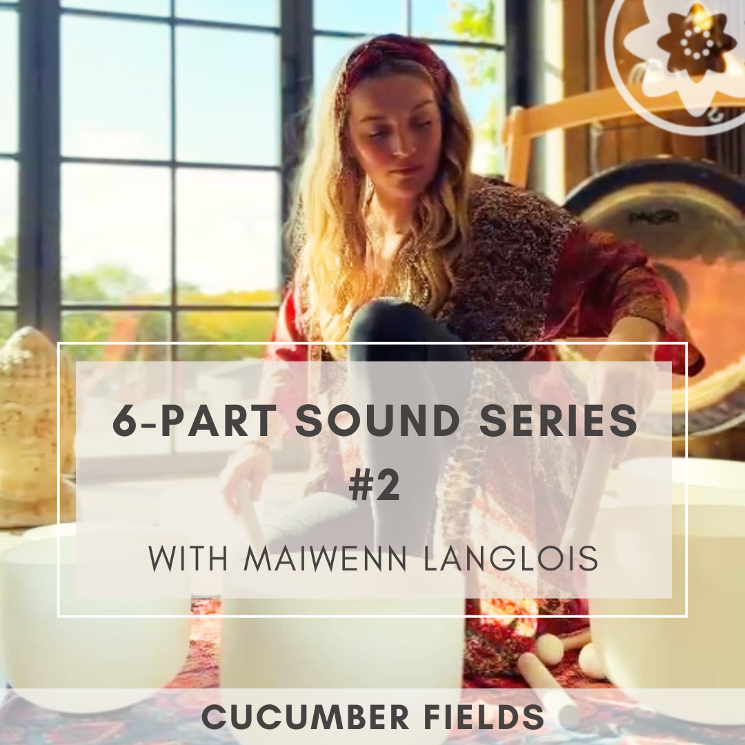 6-Part Sound Series #2 with Maiwenn Langlois