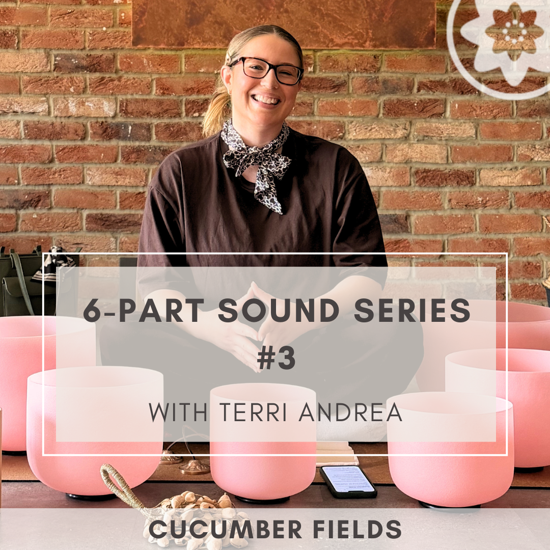 6-Part Sound Series #3 with Terri Andrea