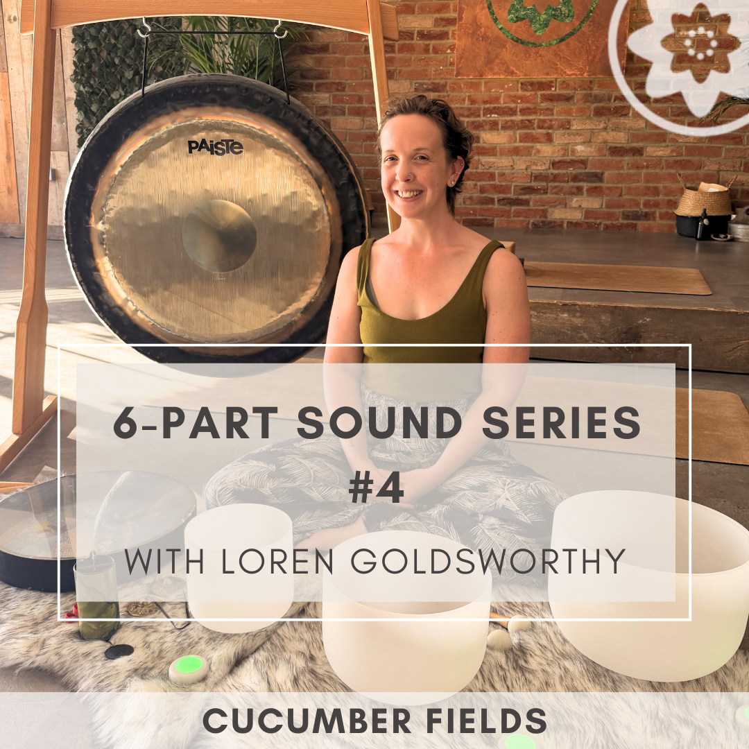 6-Part Sound Series #4 with Loren Goldsworthy