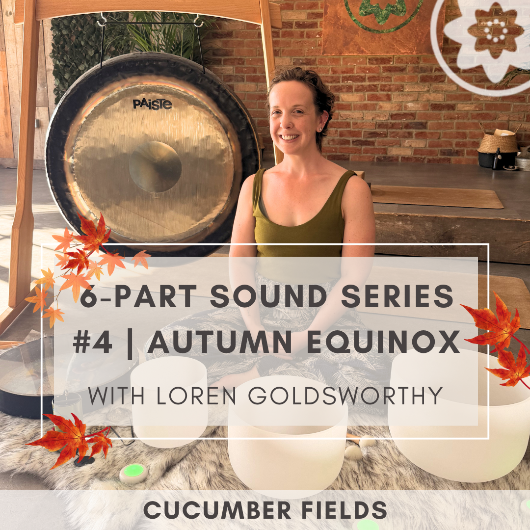6-Part Sound Series #4 with Loren Goldsworthy