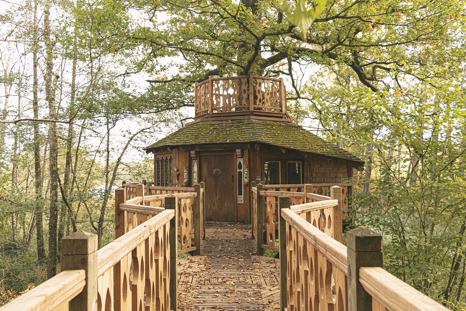 606d807eaf9b600fd5bc8db0_treehouse.jpeg