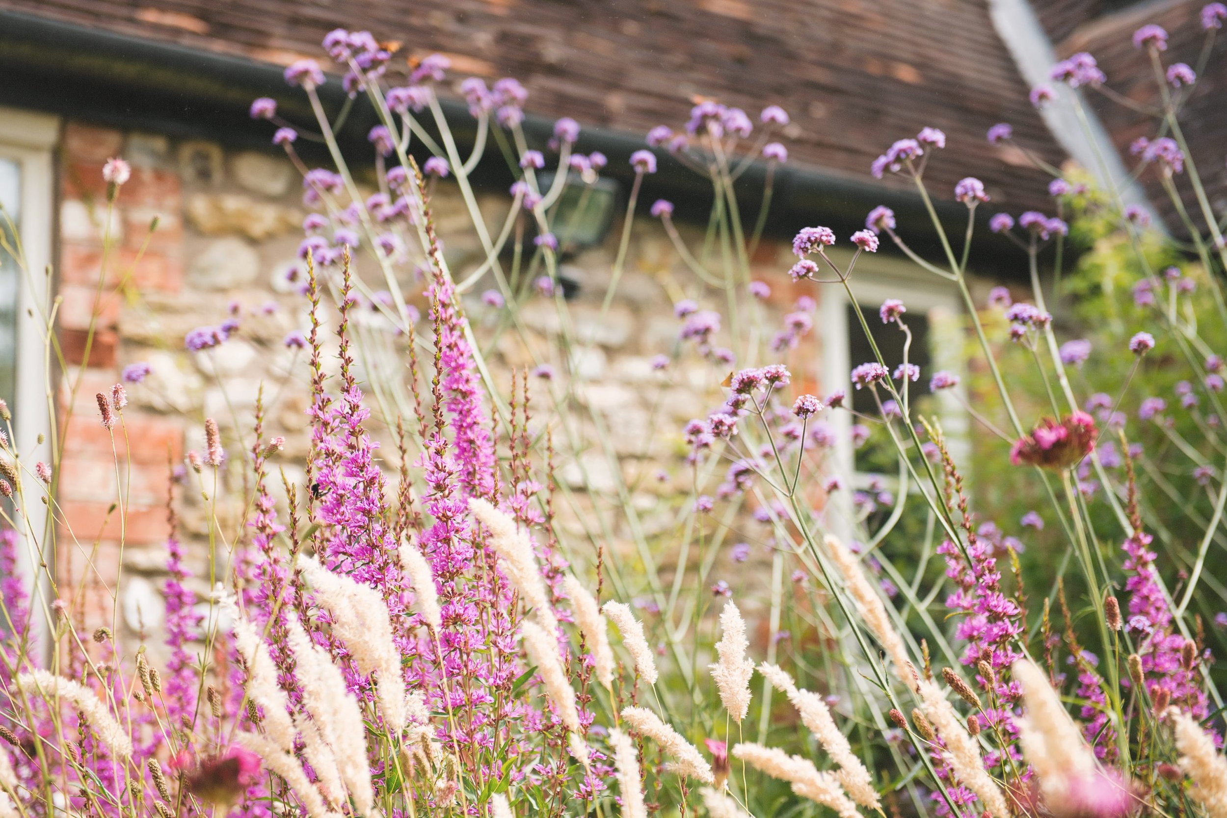 60742ae845729b9df72eb01b_wild-flowers.jpeg