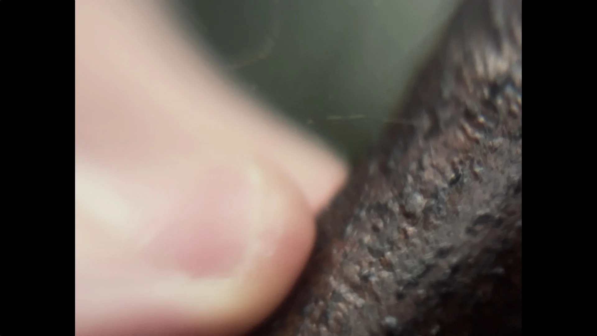 Still 2026-01-13 093042_1.1.9.jpg