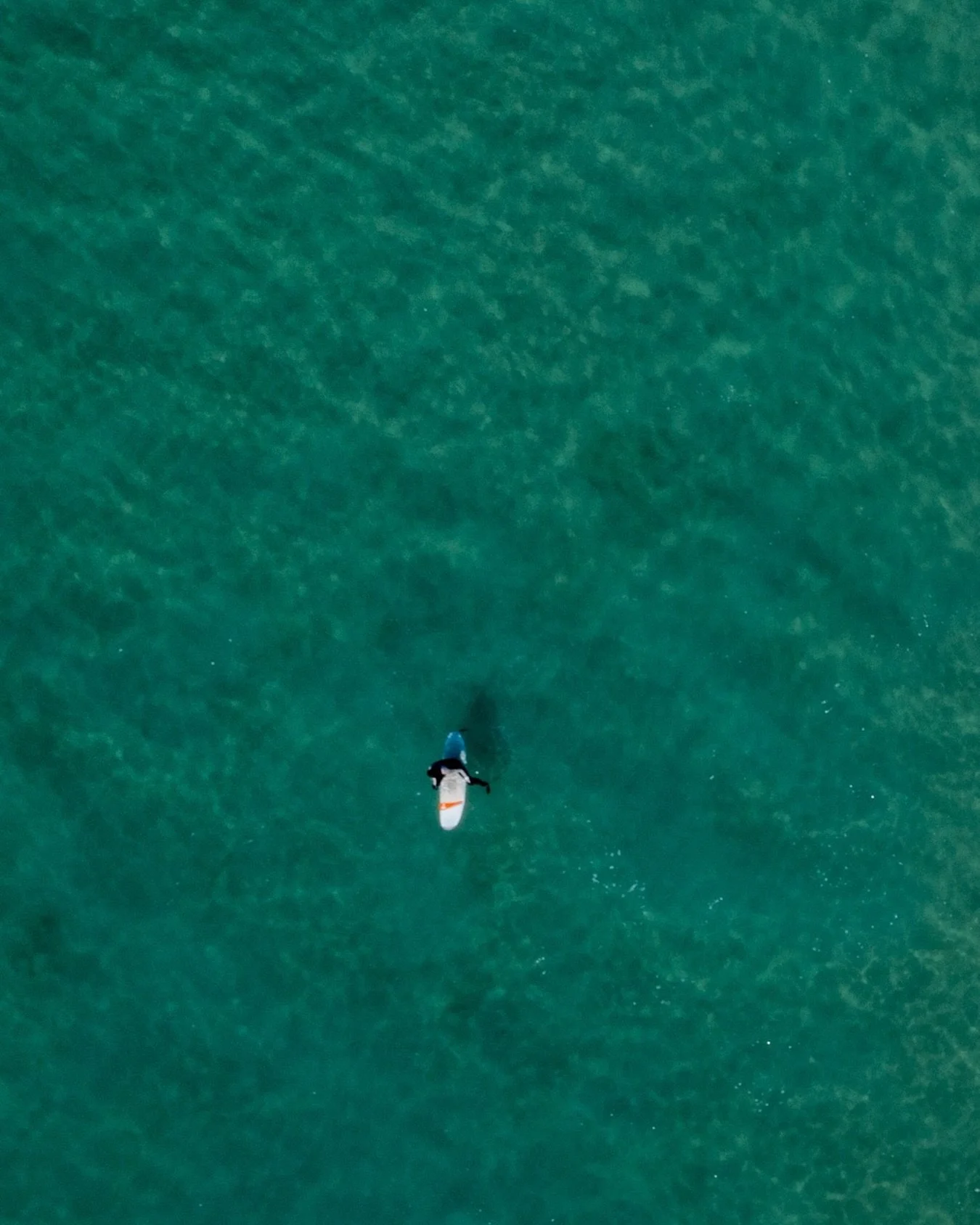 Patience, some times that&rsquo;s all you need.

#manifest