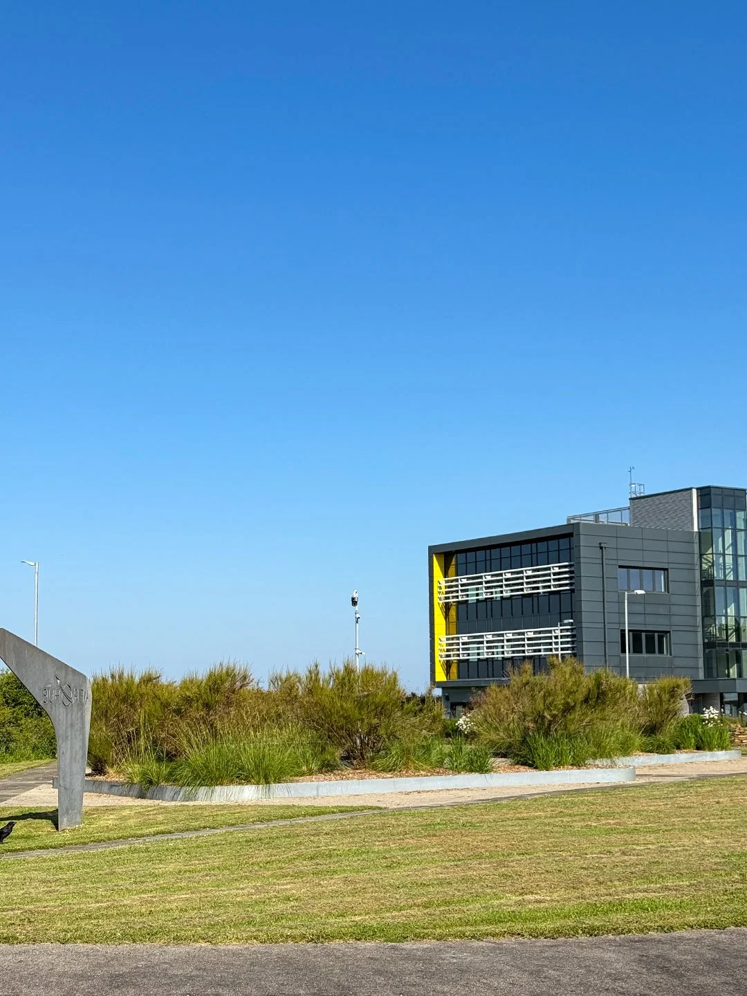 the logical choice print studio Newquay Lucy young