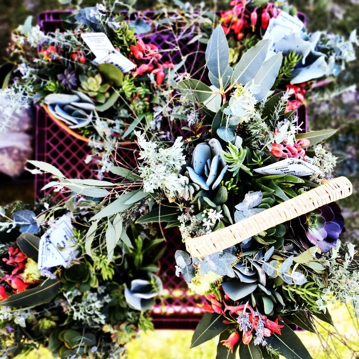 Thank you to all our lovely patrons at yesterday's market and congratulations to all the lucky winners of the @sapschoolassociation raffle!