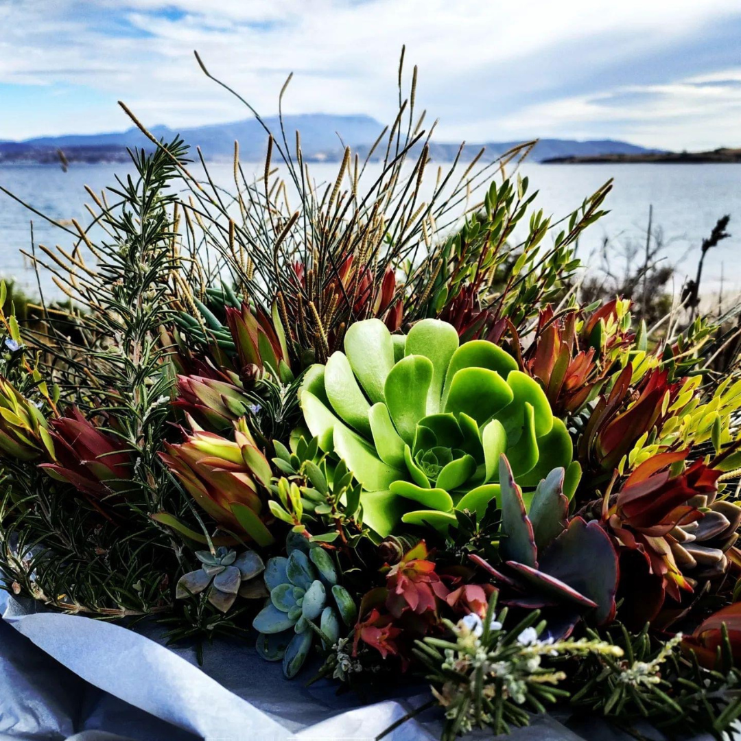 Untitled design (7).png