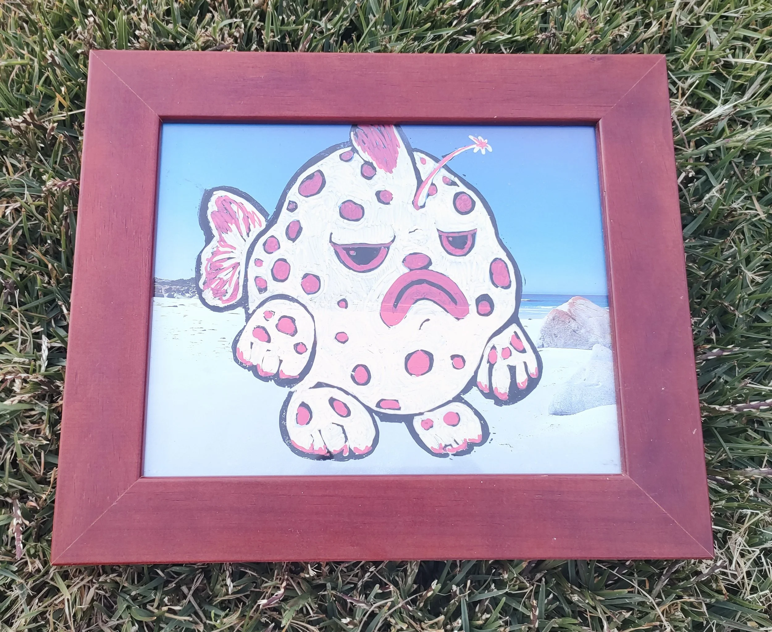 Grumpy in Bay of Fires