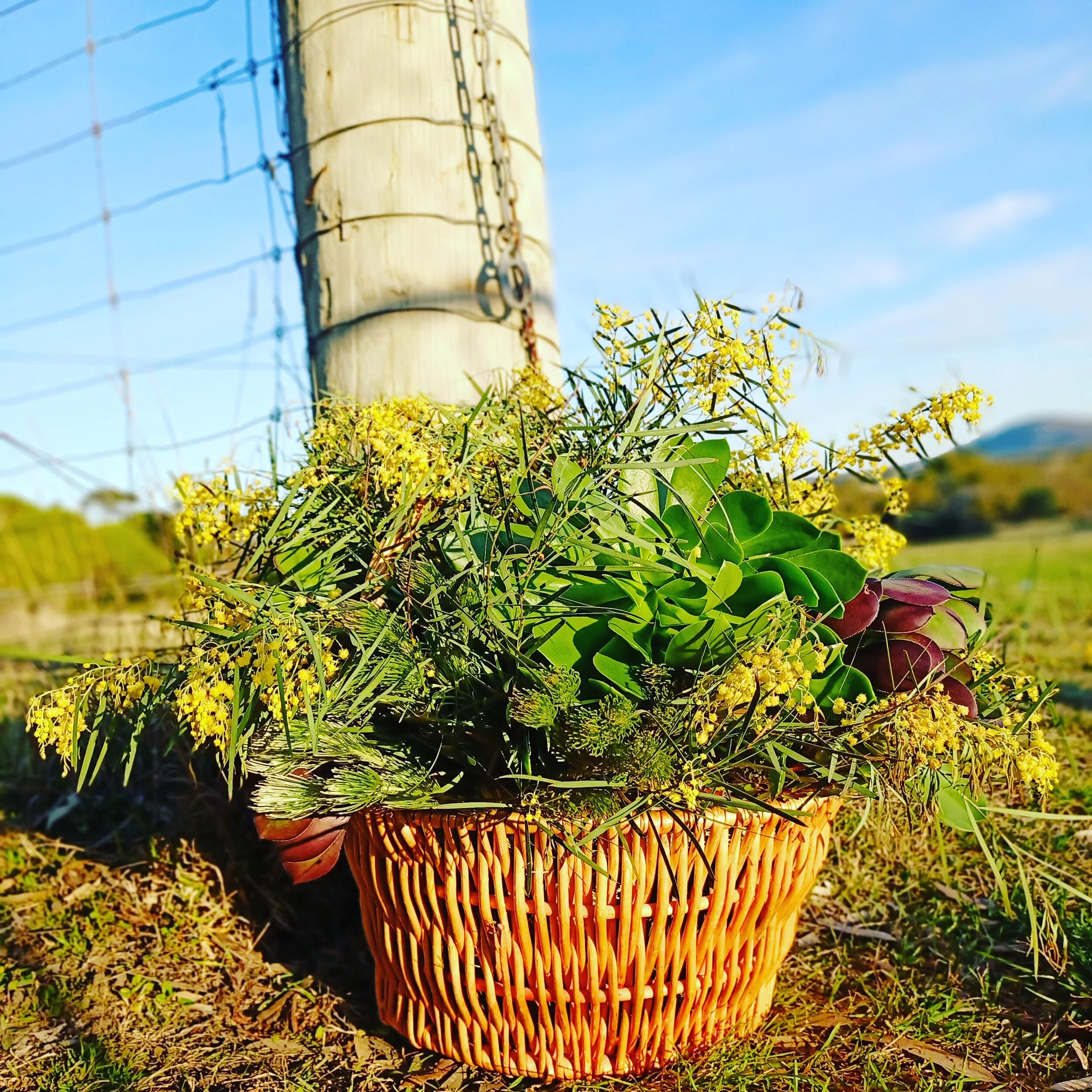 Bountiful Botanical Basket