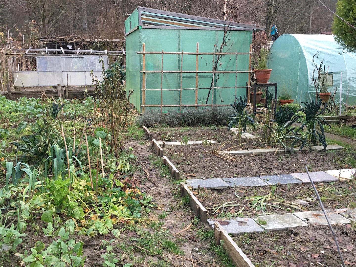 SCHREBERGARTEN I