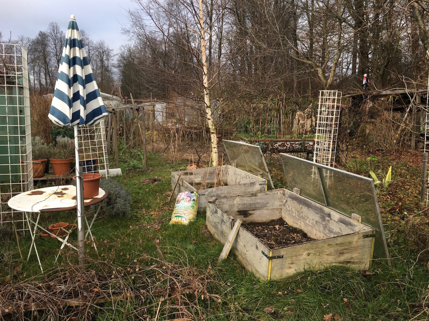SCHREBERGARTEN IV