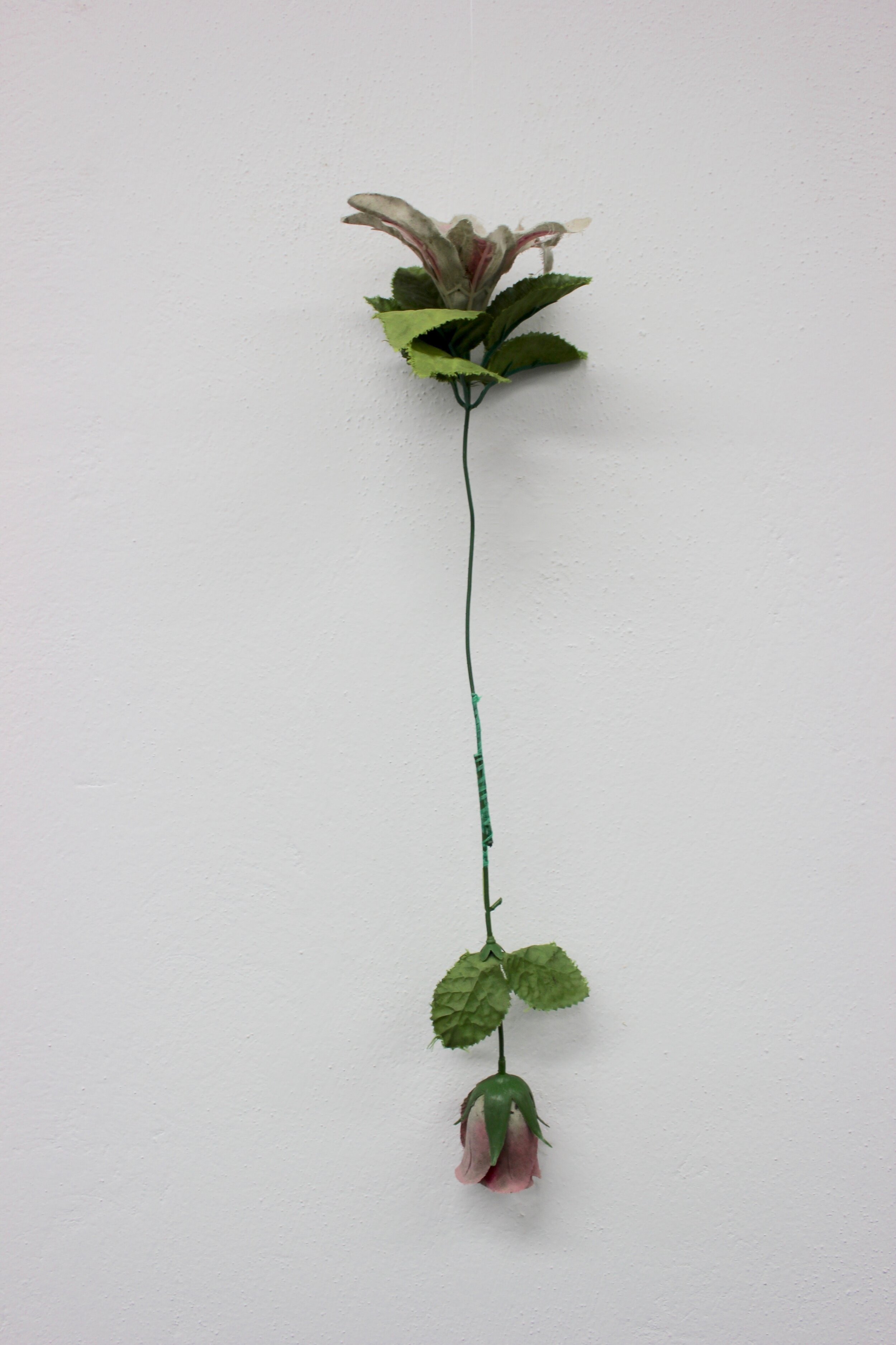 FLOR ET BLANCHEFLOR