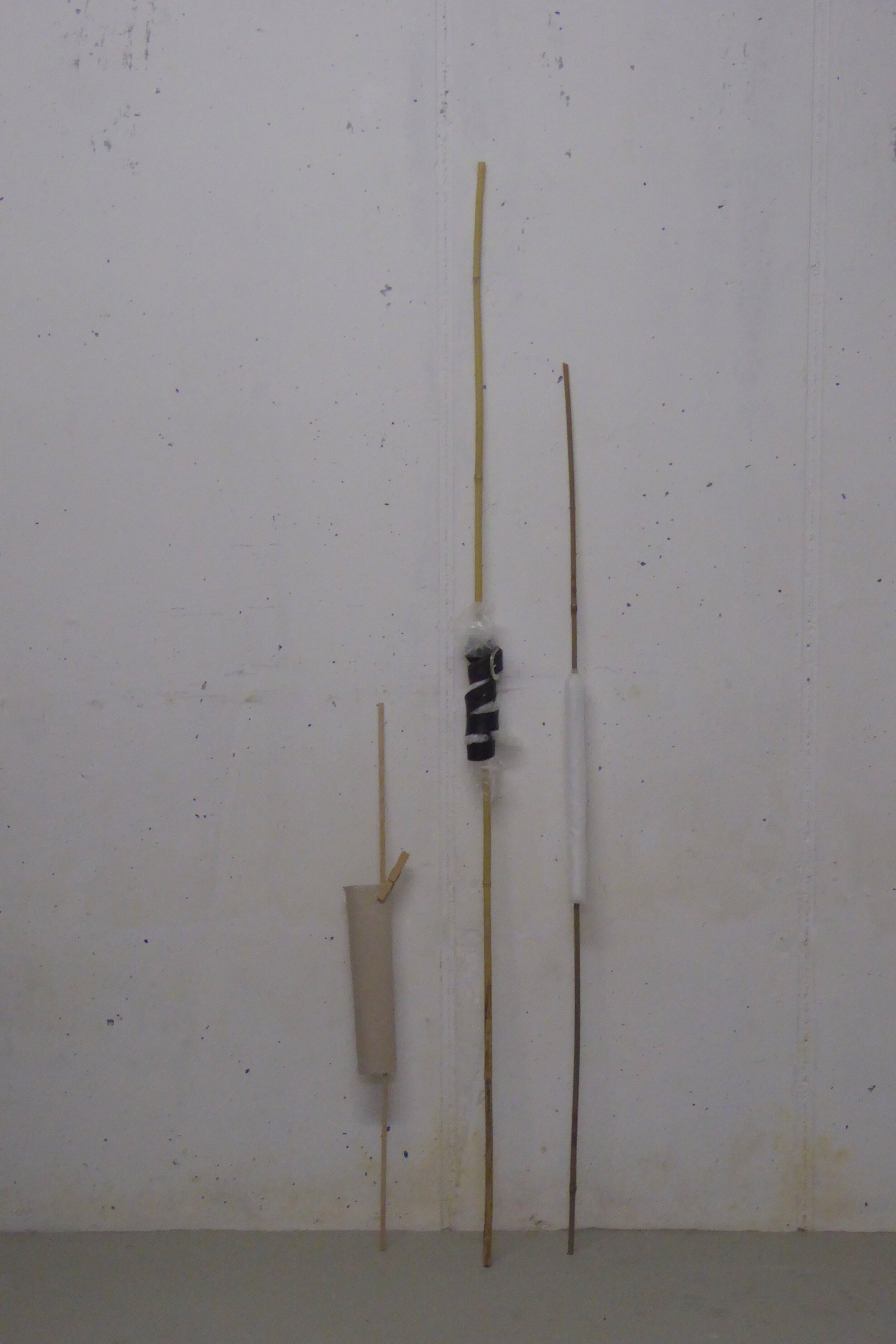 SMALL STICKS