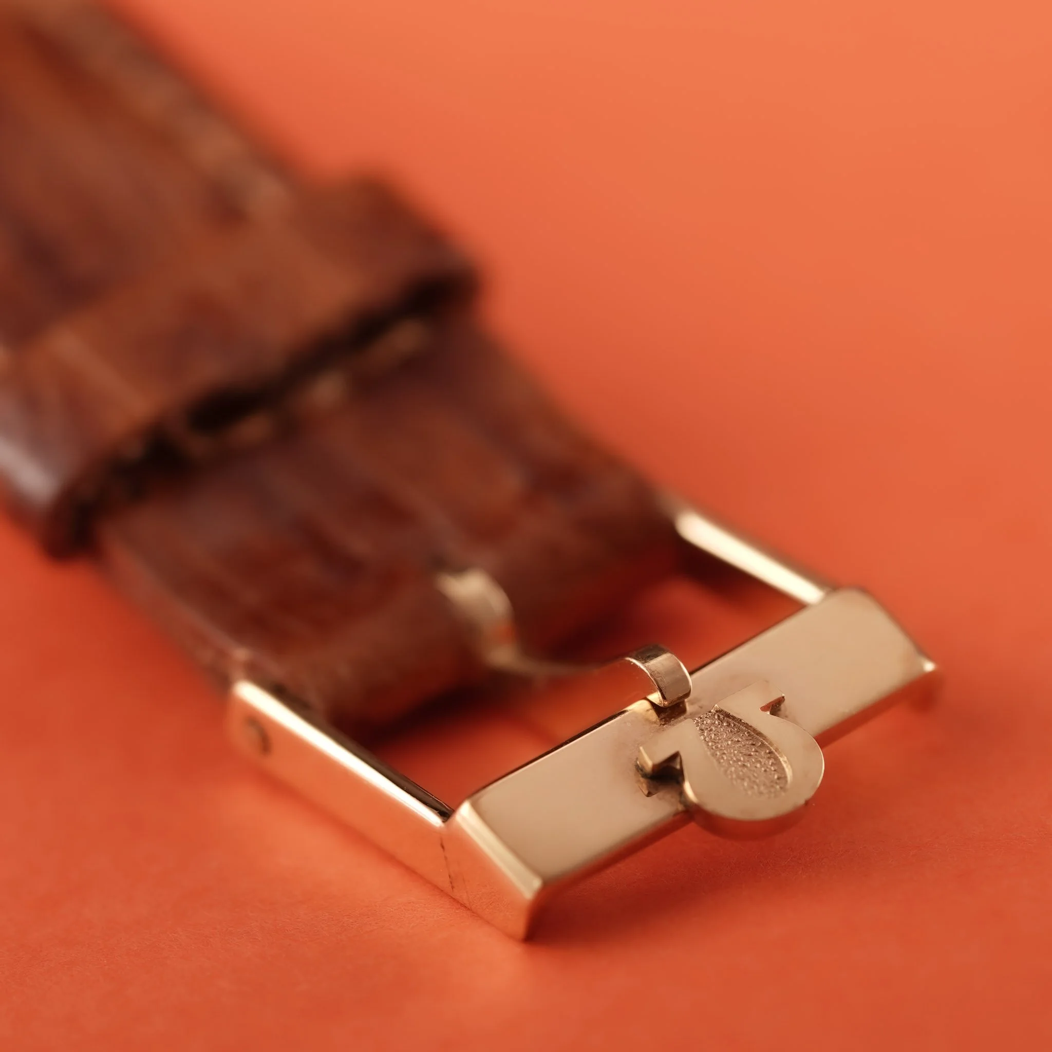 DSC02031.jpg