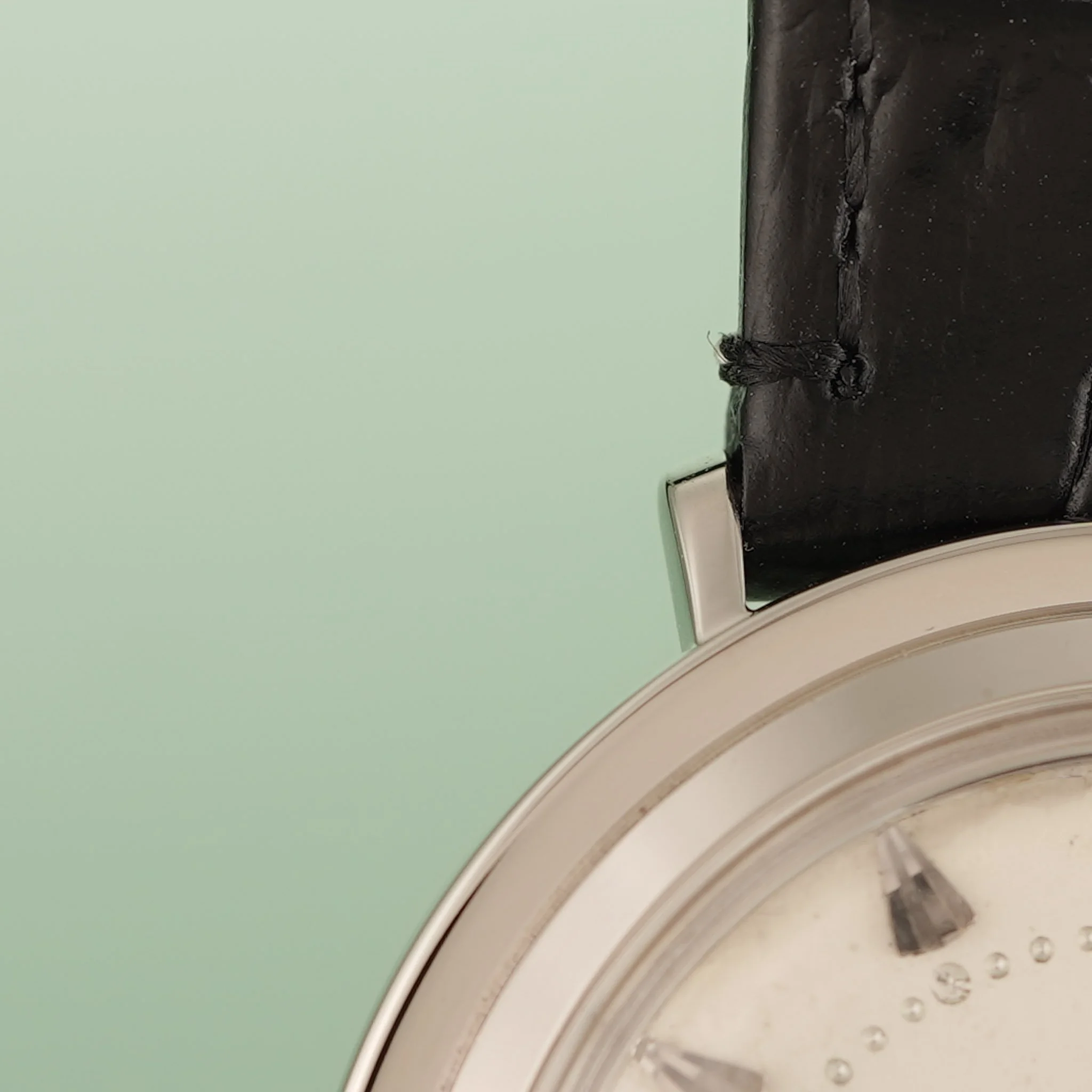 DSC02124.jpg