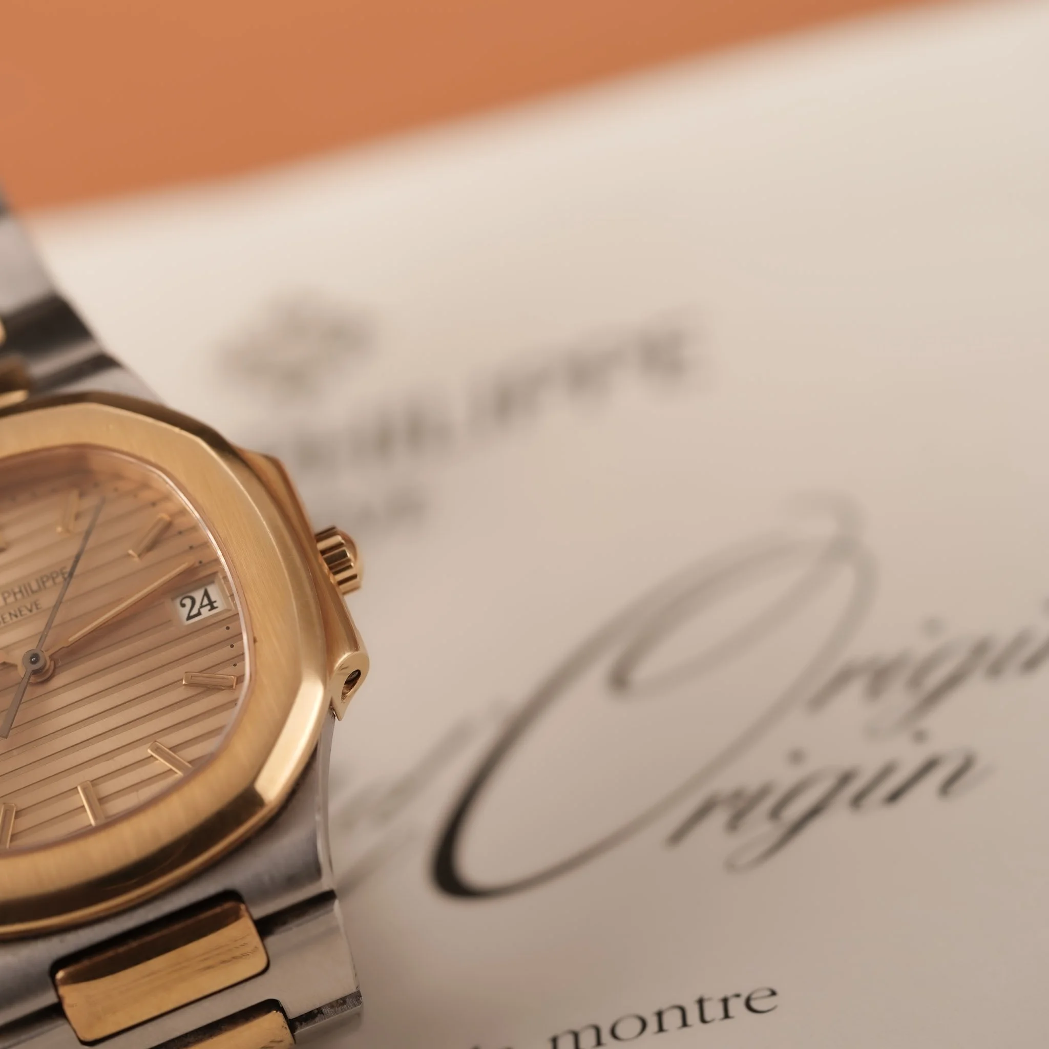 DSC03479.jpg
