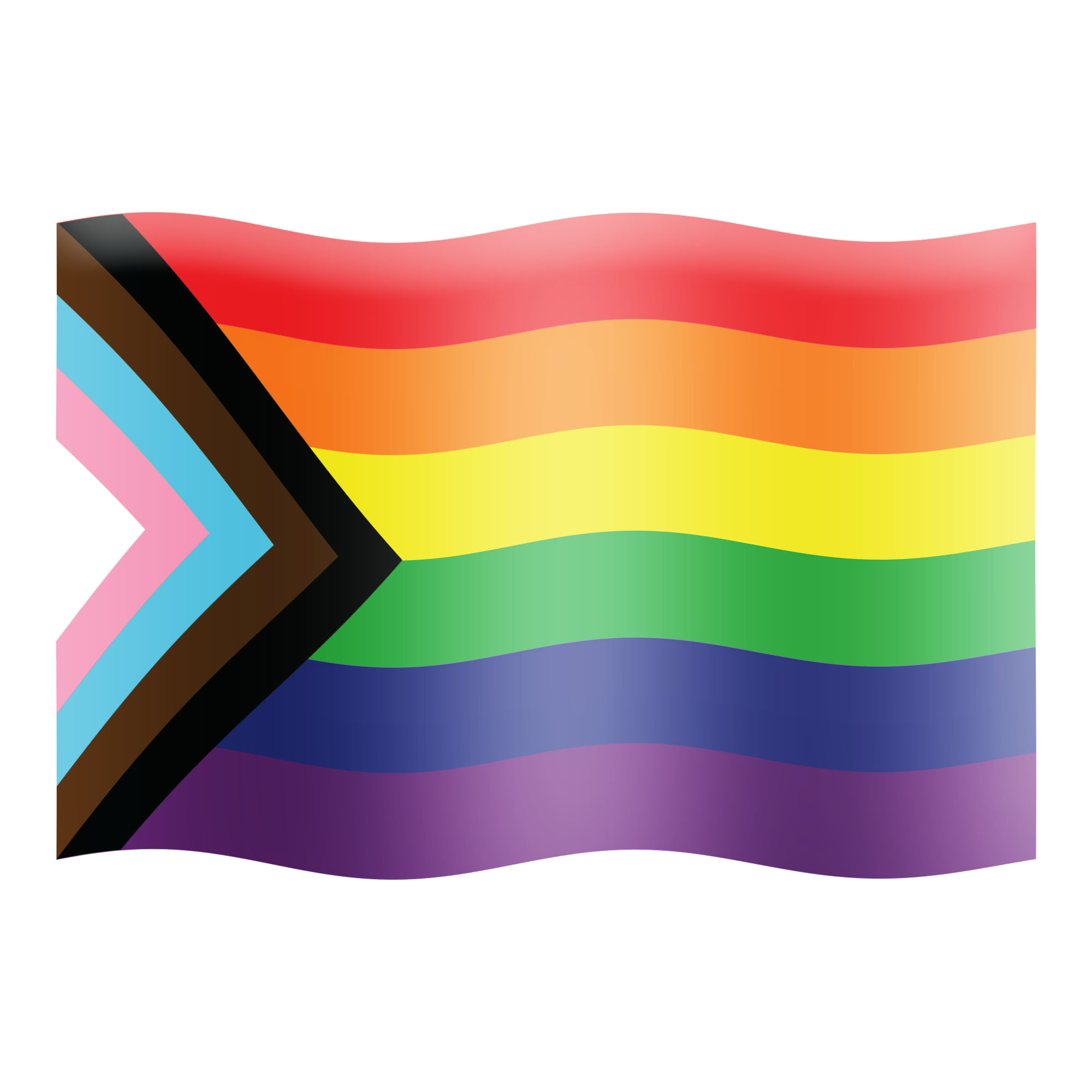 Pride flags. LGBTQ флаг. Флаг LGBTQ+ новый. Флаги прайдов ЛГБТ. Прайд Прогресс флаг.