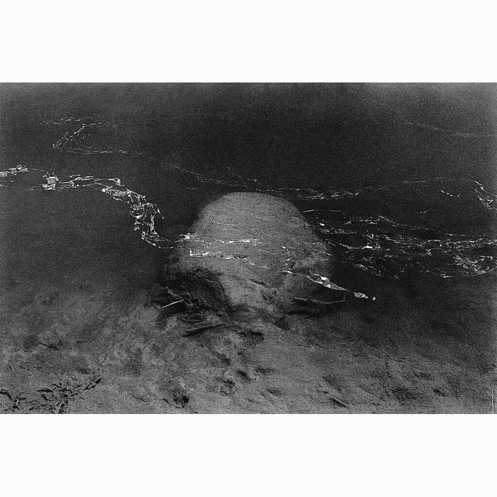 **LUR**
.
.
Hoy descubrimos uno de esos proyectos que nos encantan, en los que podemos pasar horas y horas navegando, de un enlace a otro, leyendo, mirando, aprendiendo.
.
.
LUR nace con la intenci&oacute;n de producir y divulgar conocimiento sobre fotograf&iacute;a desde un perspectiva amplia y multidisciplinar, abordando estudios y an&aacute;lisis de la imagen fotografoca y sus usos en la cultura visual y creaci&oacute;n contempor&aacute;nea. 
Arranca en 2019 y en su web encontramos tres  apartados principales donde indagar
.
.
1. Investigacion, donde encontramos ensayos y art&iacute;culos en torno a cinco l&iacute;neas: Filosof&iacute;a de la Imagen, Fotograf&iacute;a y Antropolog&iacute;a, Imagen Pol&iacute;tica y Sociedad, Lenguaje y Po&eacute;tica y Narrativa Visual.
.
.
2. Biblioteca, una selecci&oacute;n de trabajos donde podemos hacer una lectura de cada libro acompa&ntilde;ado de una rese&ntilde;a.
.
.
3. Di&aacute;logos, intercambios de ideas entre profesionales con entrevistas y conversaciones, que dialogan desde diferentes visiones acerca de un tema.
.
.
Adem&aacute;s cuentan con un premio de ensayo fotogr&aacute;fico, al que s puede optar hasta octubre. Y una librer&iacute;a donde hacerse con obras in&eacute;ditas de ensayo fotogr&aacute;fico.
.
.
Merece la pena sumergirse en este proyecto, descubrir aut&eacute;nticas joyas del fotolibro como Ed&eacute;n de Bernardita Moreno, Hereafter de Fede Clavarino o Jingle Check de Cristina de Middel y Kalev Erickson. Yo ya tengo plan para esta tarde :) @lur.estudiosvisuales
.
.
#filmphotography #fotografia #ensayo #estudiosvisuales #fotografiacontemporanea #contemporaryart