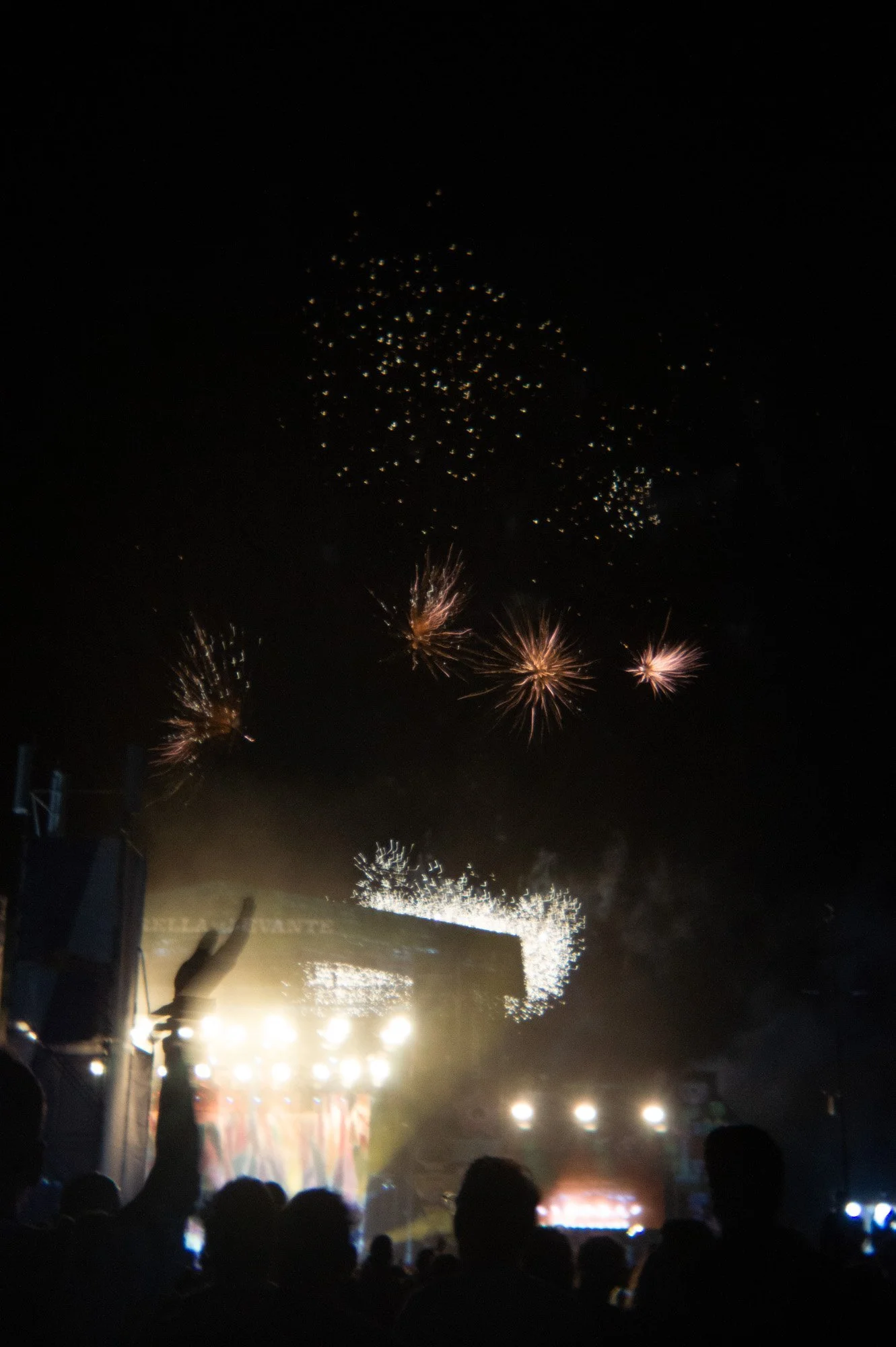 _DSC3451.jpeg