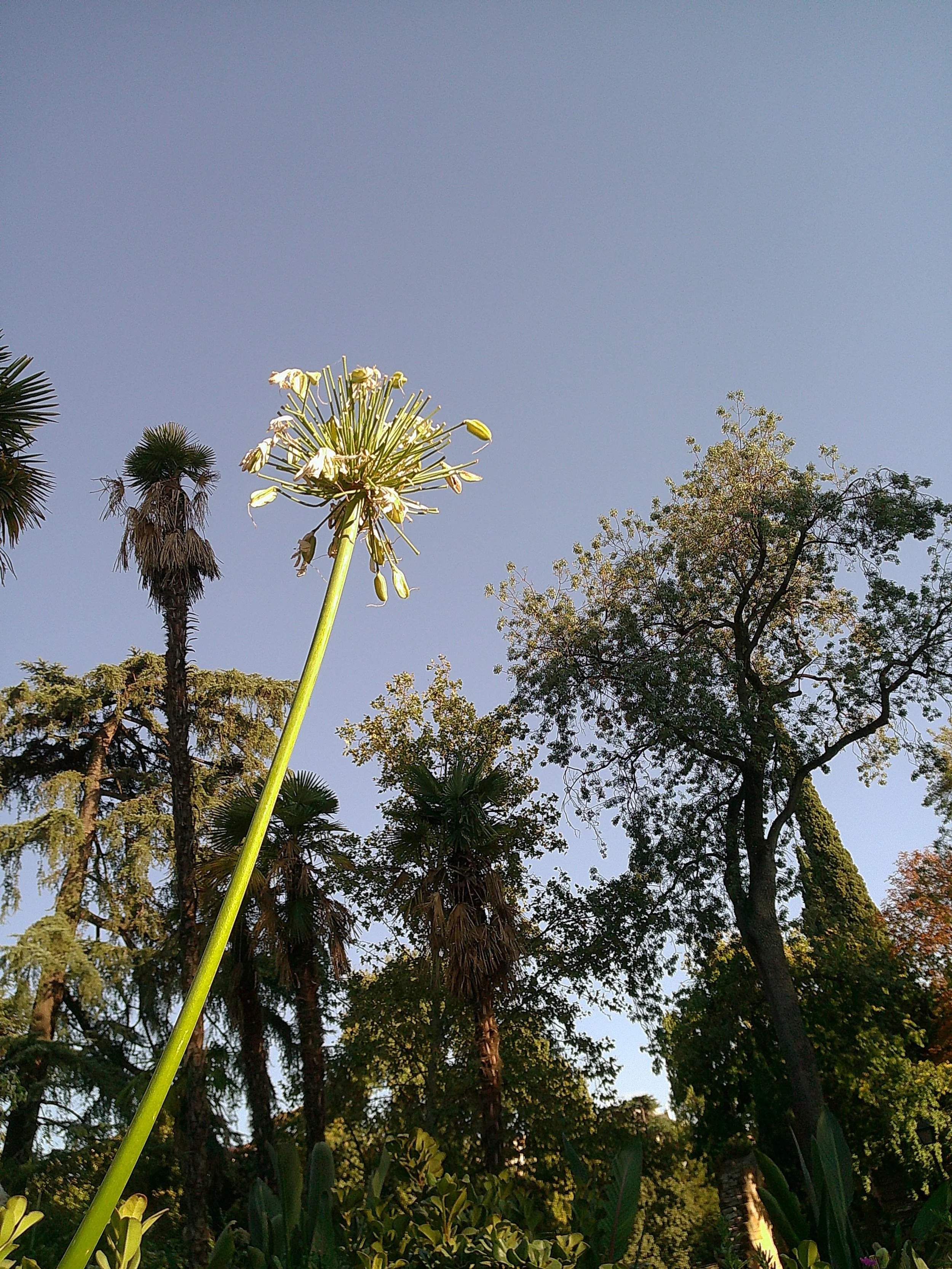 DSCF0278.JPG