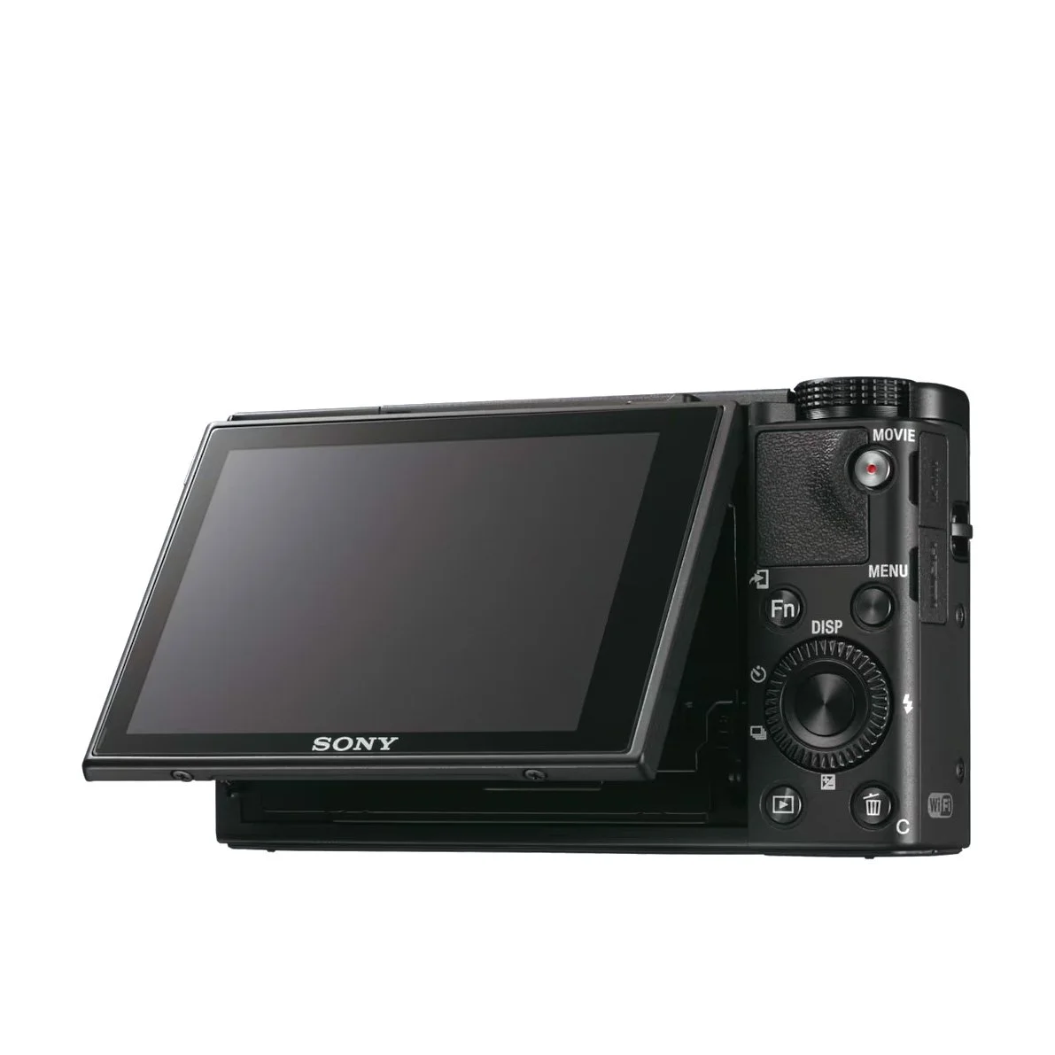 SonyRX100V (5).jpg