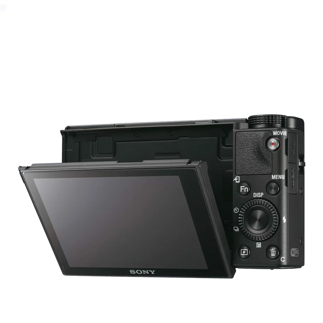 SonyRX100V (2).jpg