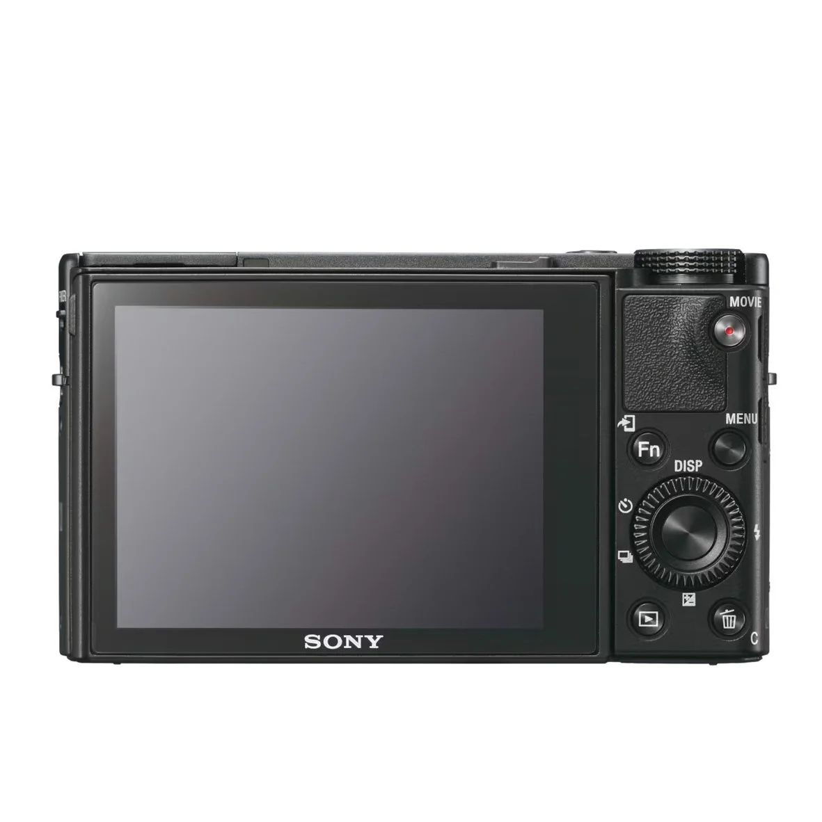 SonyRX100V (7).jpg