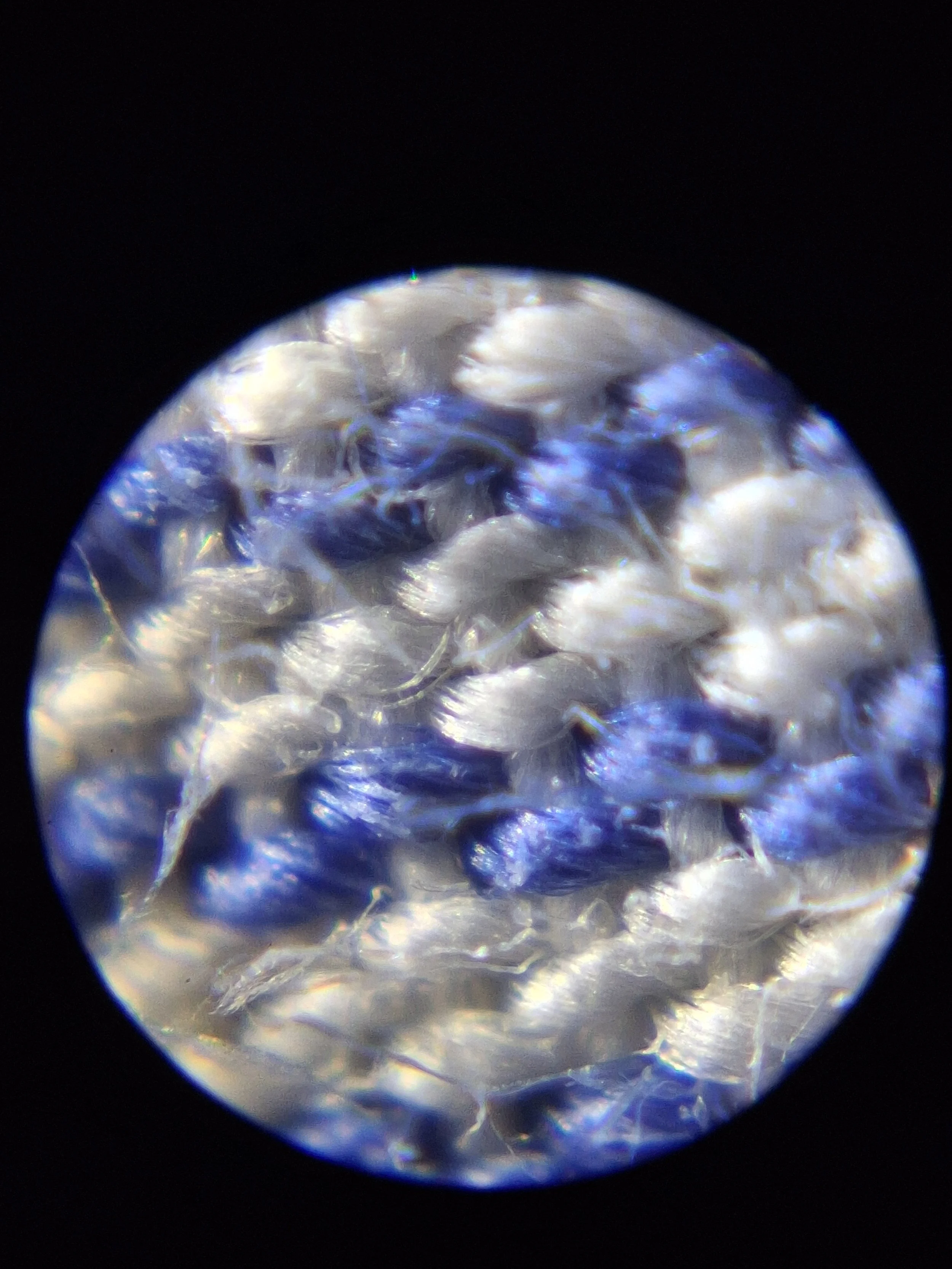 20260506_175624.jpg