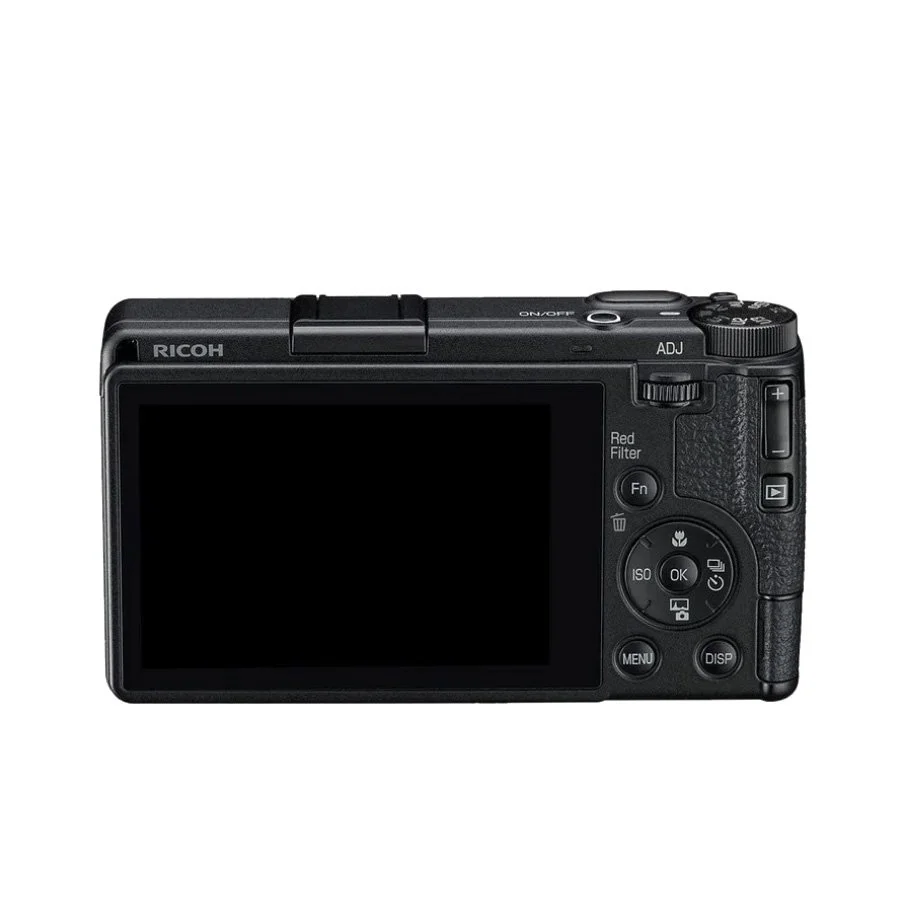 RicohGRIVMonocrhome (4).jpg