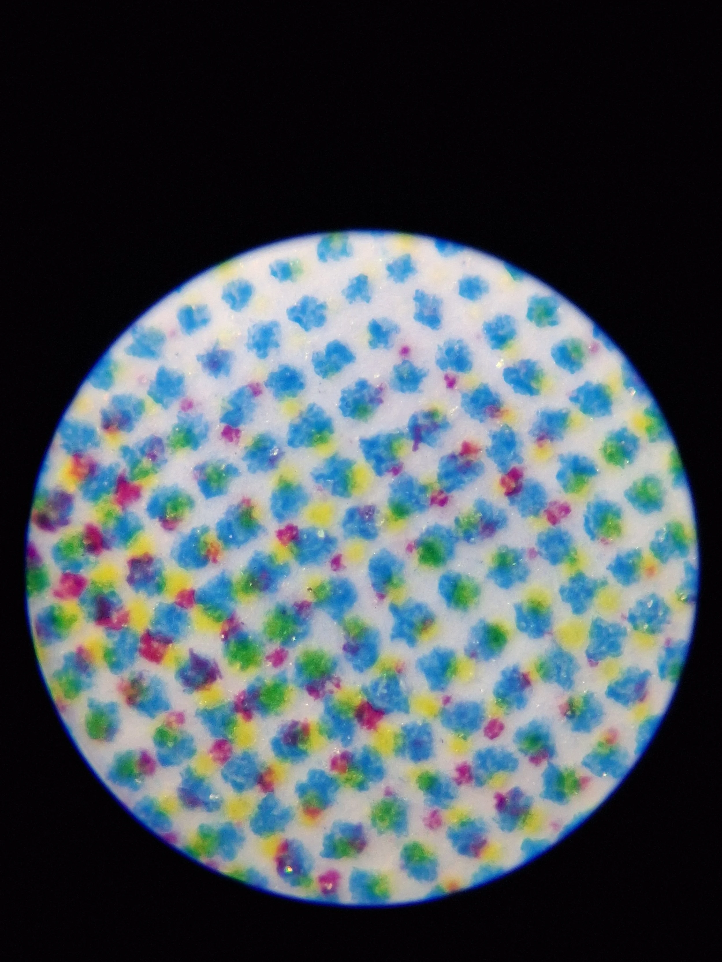 20260506_175838.jpg