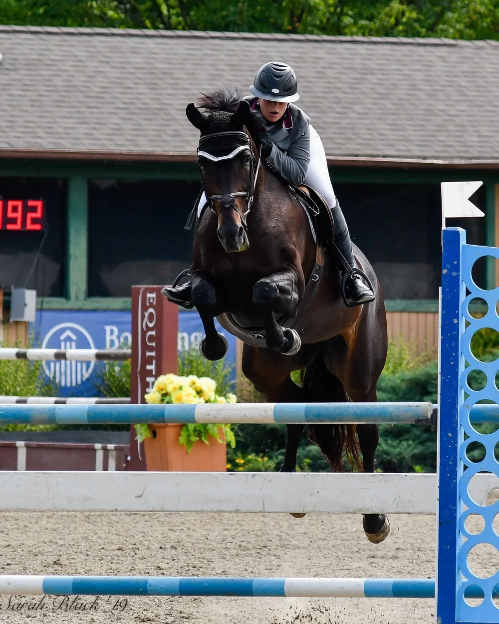 My Personal Experience Horseback Riding While Pregnant — The Littlest