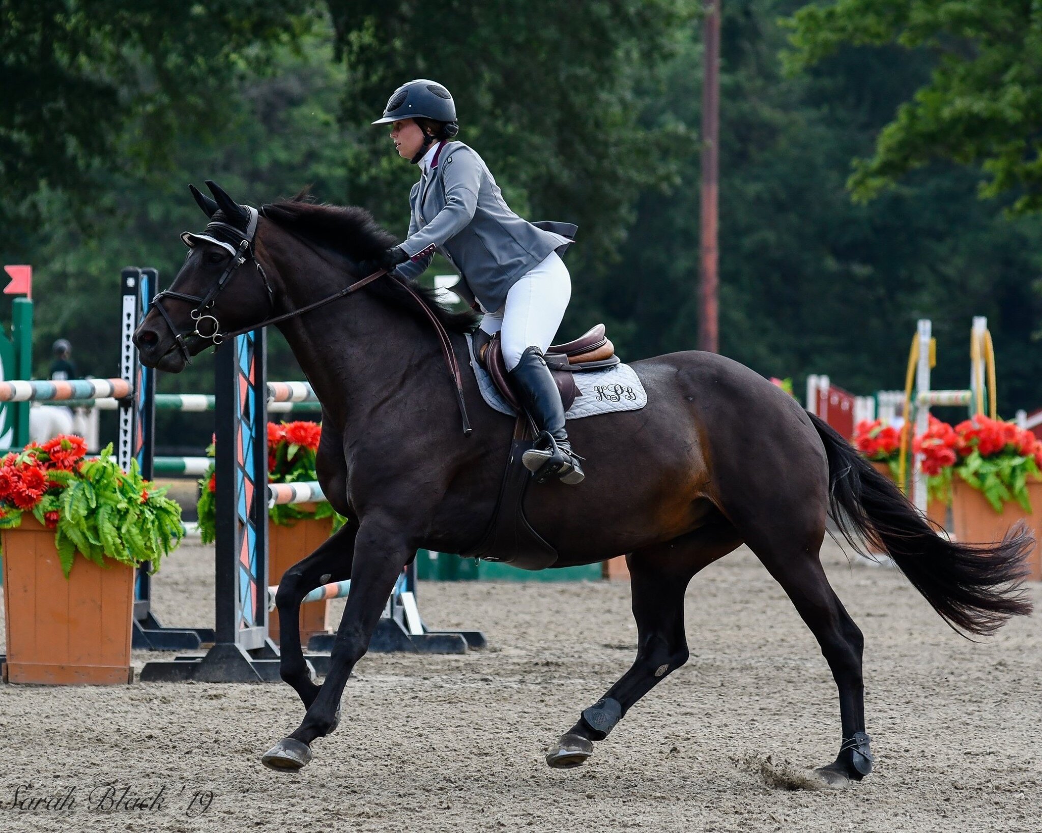 My Personal Experience Horseback Riding While Pregnant — The Littlest