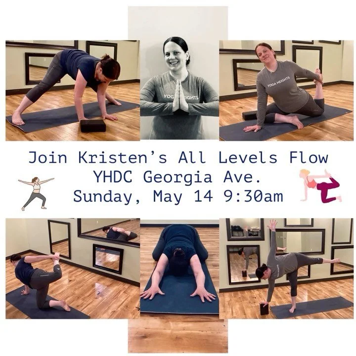 Yoga Heights DC | Yoga Studio in DC | DC Yoga