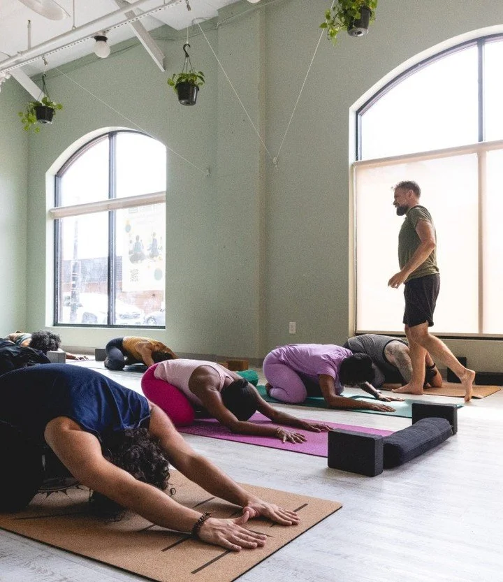 Now is the perfect time to start your yoga journey!

Get started with our $49 Intro Offer - you'll receive a 5 class pack to use in 2 weeks! If you take at least 4 classes, you'll get $49 off your first month of membership!

With two locations in DC 