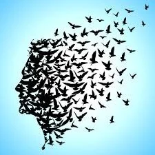 Self-Direction Is A Process