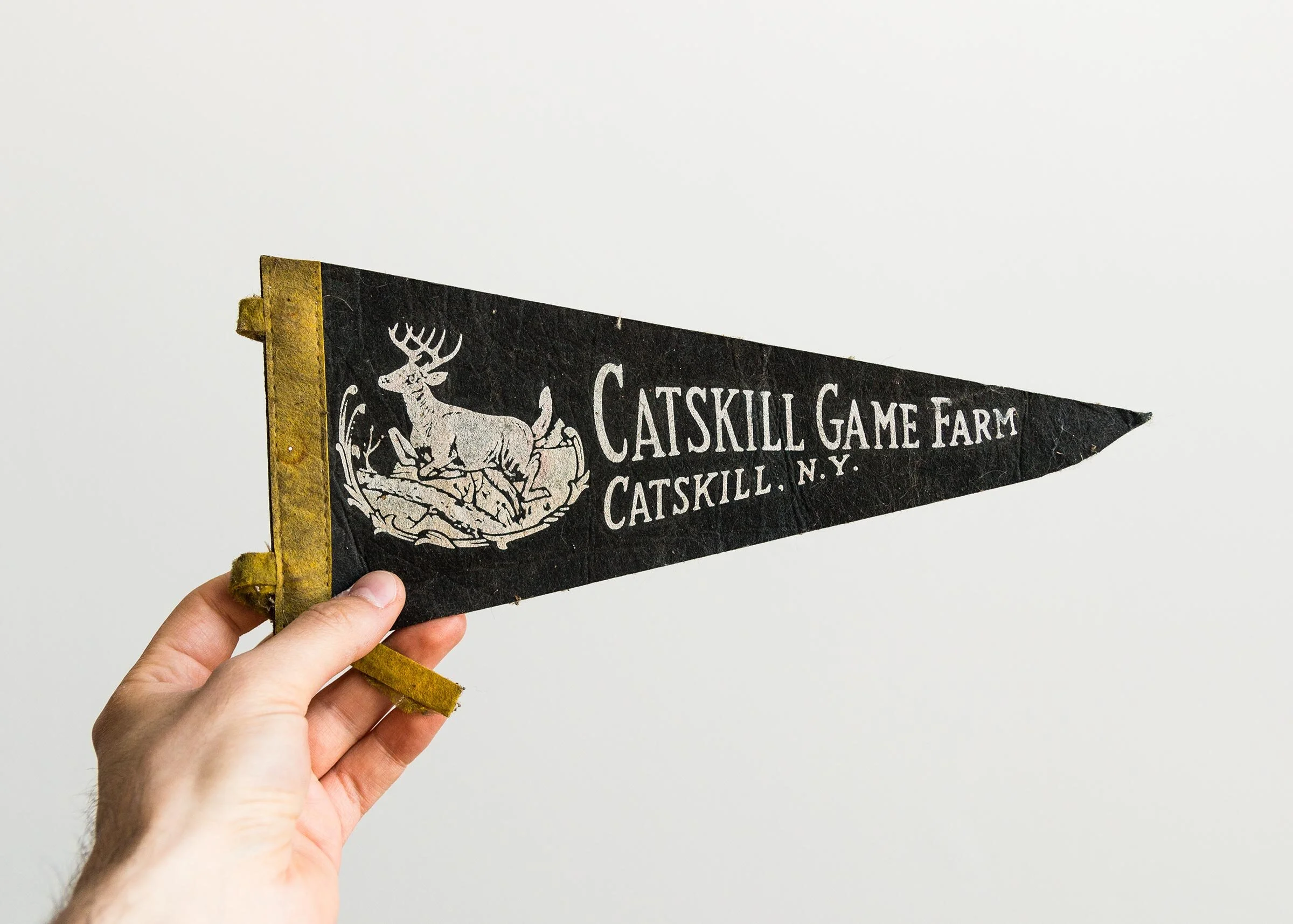 Vintage typography and lettering on pennant Catskill Game Farm N.Y.